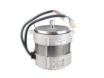 Riello RHE 171T 0116 electric motor