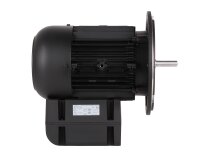 Weishaupt WM-D112/140-2/3K5 electric motor, 21520407300